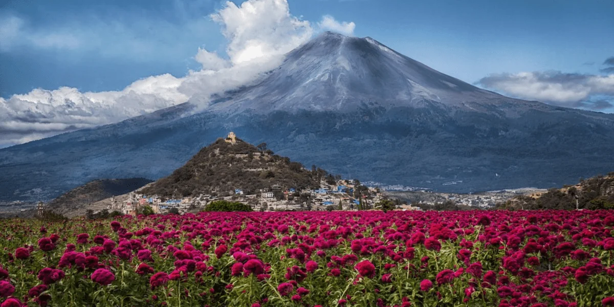 Mexico 2-min.webp